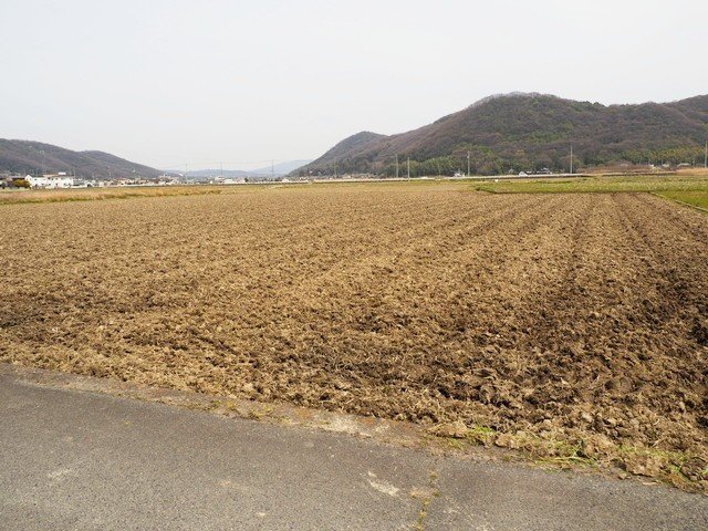 年3月27日 昨日 今朝の風景 田園風景 花々 煙霧 Hana父 Note 年3月27日 昨日 今朝の風景 田園風景 花々 煙霧 Hana父 Note
