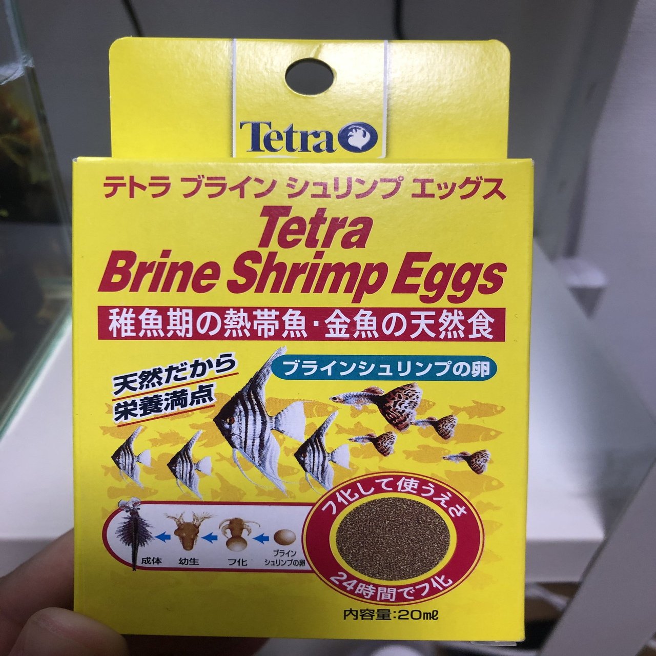 初めてのブラインシュリンプ サワコ Note