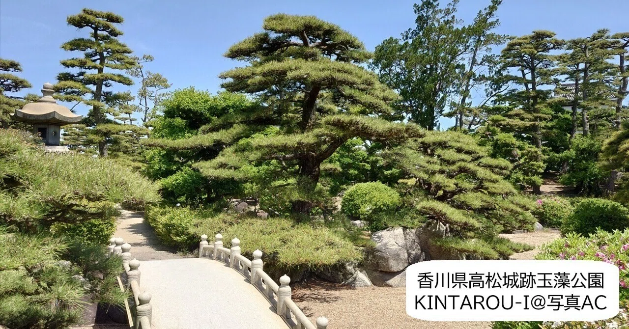 日本庭園の松 自然風景的な樹姿は人工的に作られている by 前中久行 