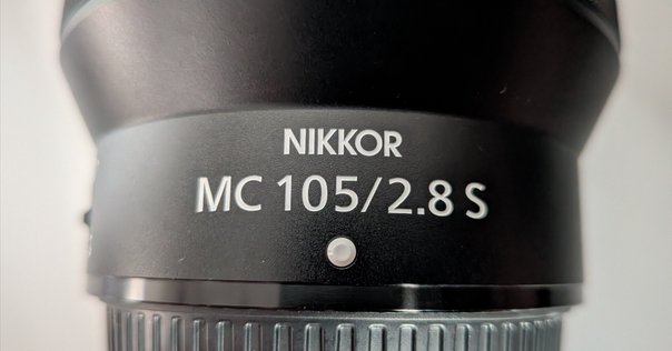 55mmニッコール① Ai-S Micro-Nikkor 55mm F2.8｜入里灯（いりひ）