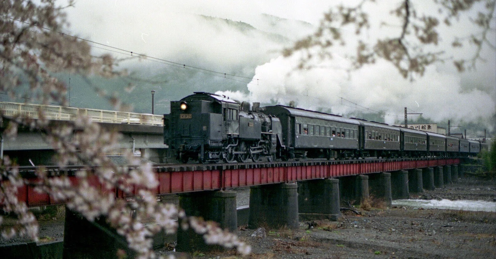 v093, 大井川鉄道：桜 （1990年）｜ひろやん