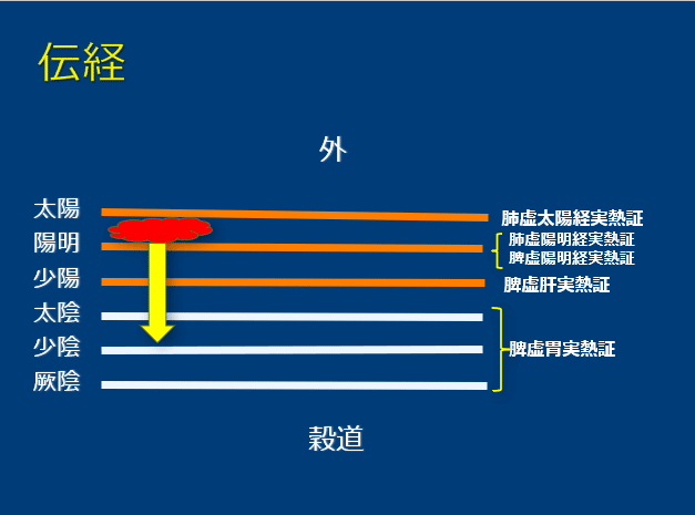 コロナウィルス03