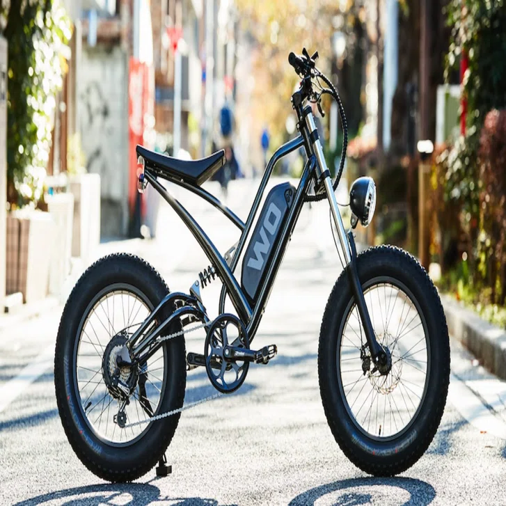 広告や嘘無し】E FAT BIKE正直レビュー3｜EBIKEおじオジ