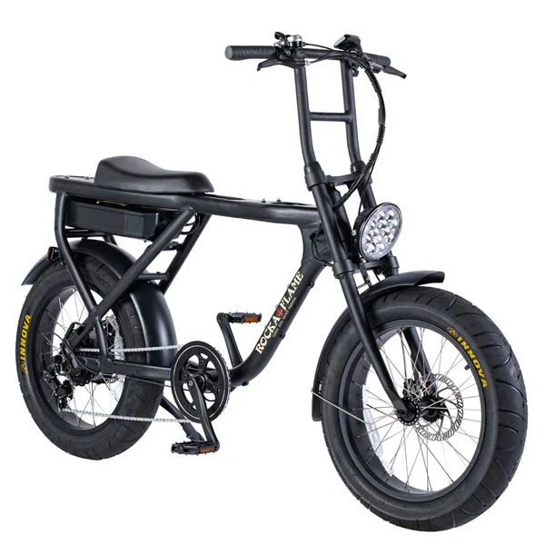 広告や嘘無し】E FAT BIKE正直レビュー3｜EBIKEおじオジ