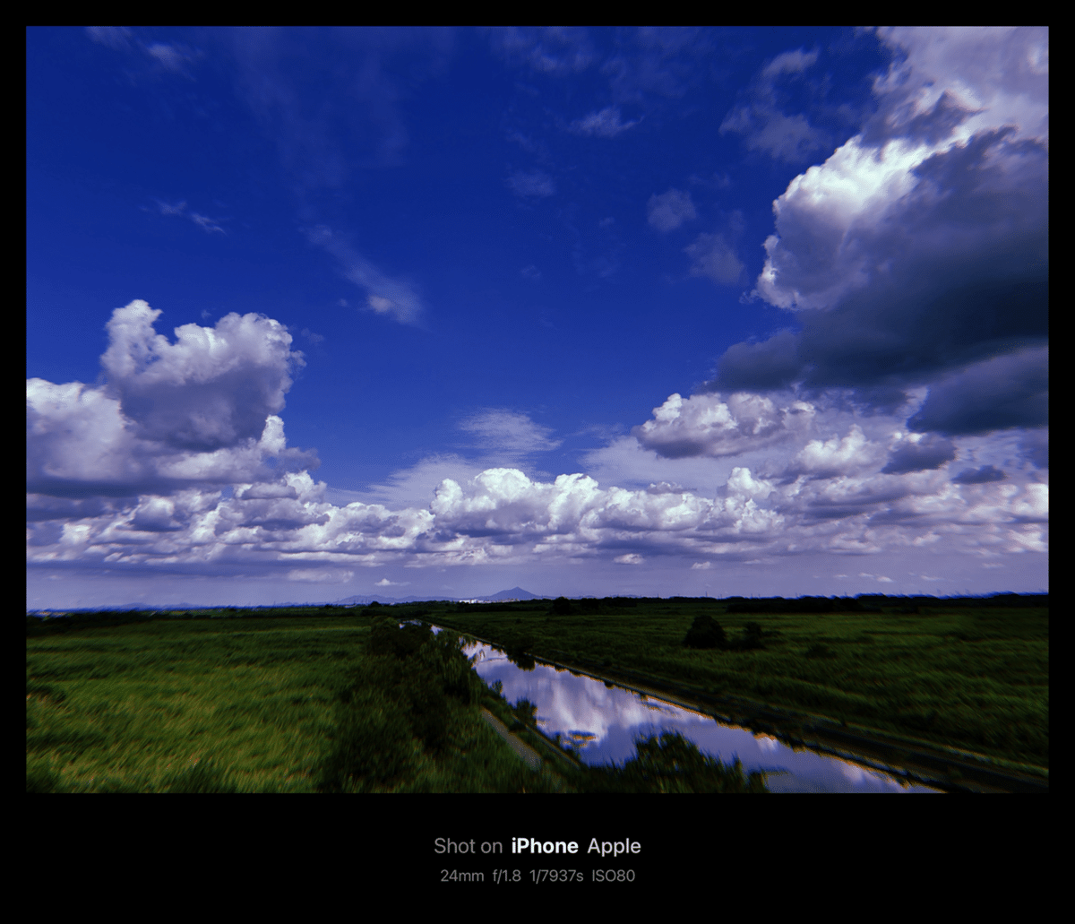 渡良瀬遊水地 ウォッチングタワー / WATARASE YUSUICHI Watching