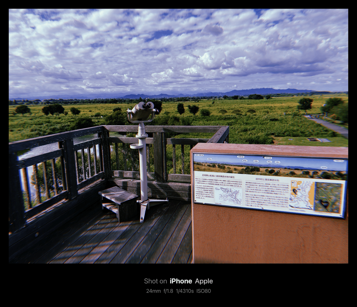 せたがやトラスト　街・自然ウォッチング　第１集～第５集 せたがやトラスト 街・自然ウォッチング 第1集～第5集 Yahoo