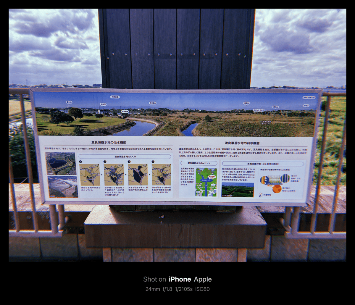 せたがやトラスト　街・自然ウォッチング　第１集～第５集 せたがやトラスト 街・自然ウォッチング 第1集～第5集 Yahoo