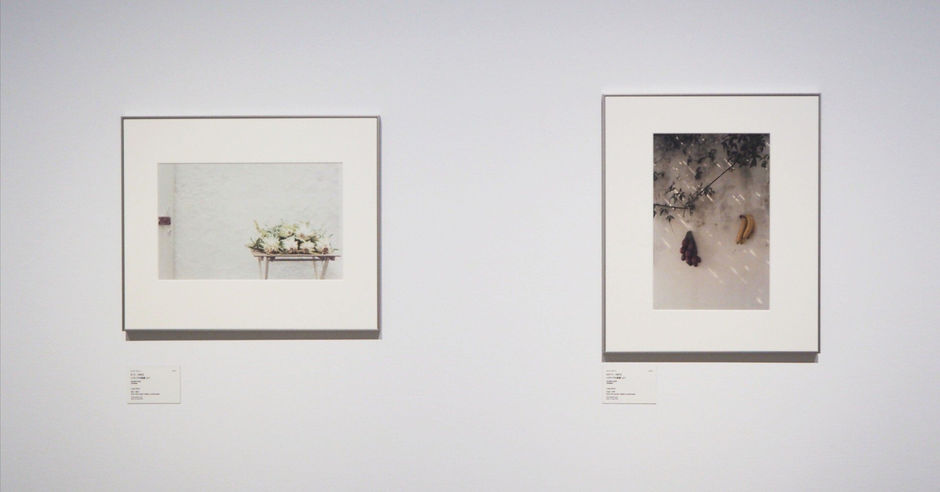 ルイジ・ギッリ「終わらない風景」東京都写真美術館 感想｜YuiMituki