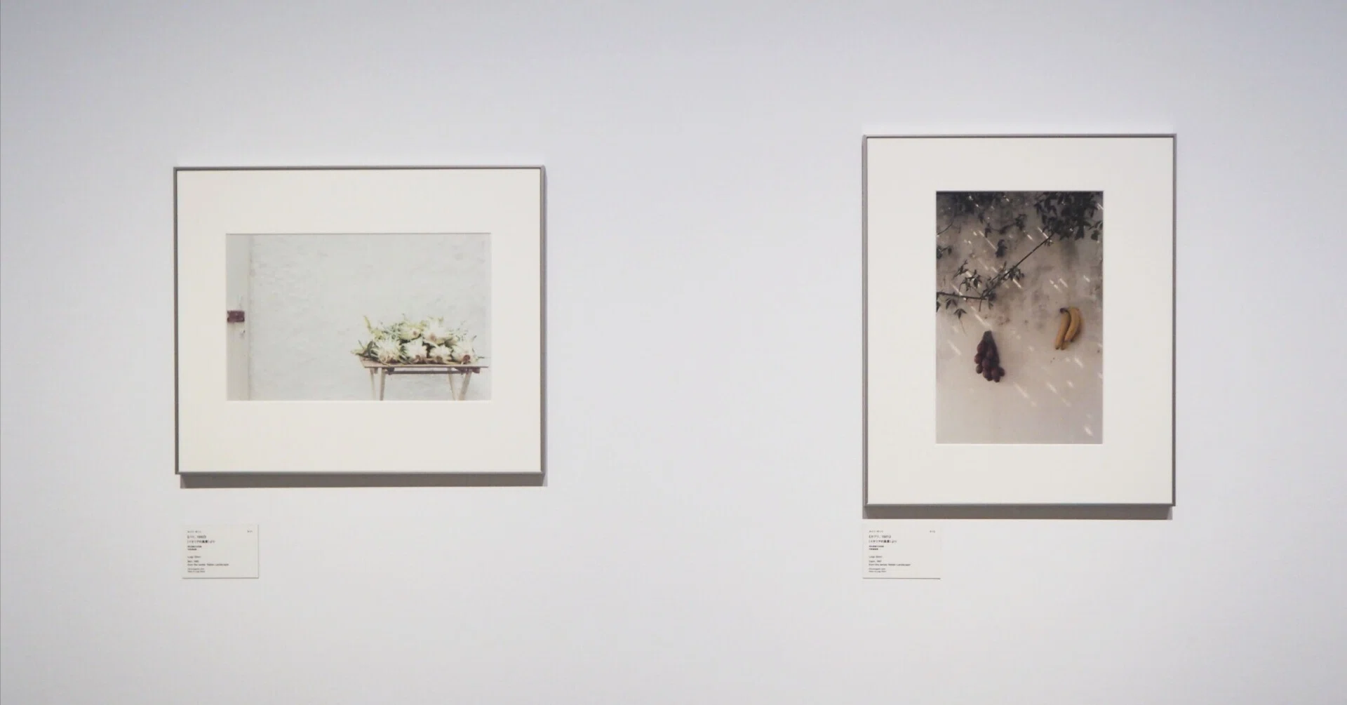 ルイジ・ギッリ「終わらない風景」東京都写真美術館 感想｜YuiMituki