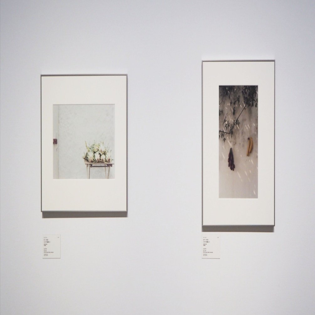 ルイジ・ギッリ「終わらない風景」東京都写真美術館 感想｜YuiMituki