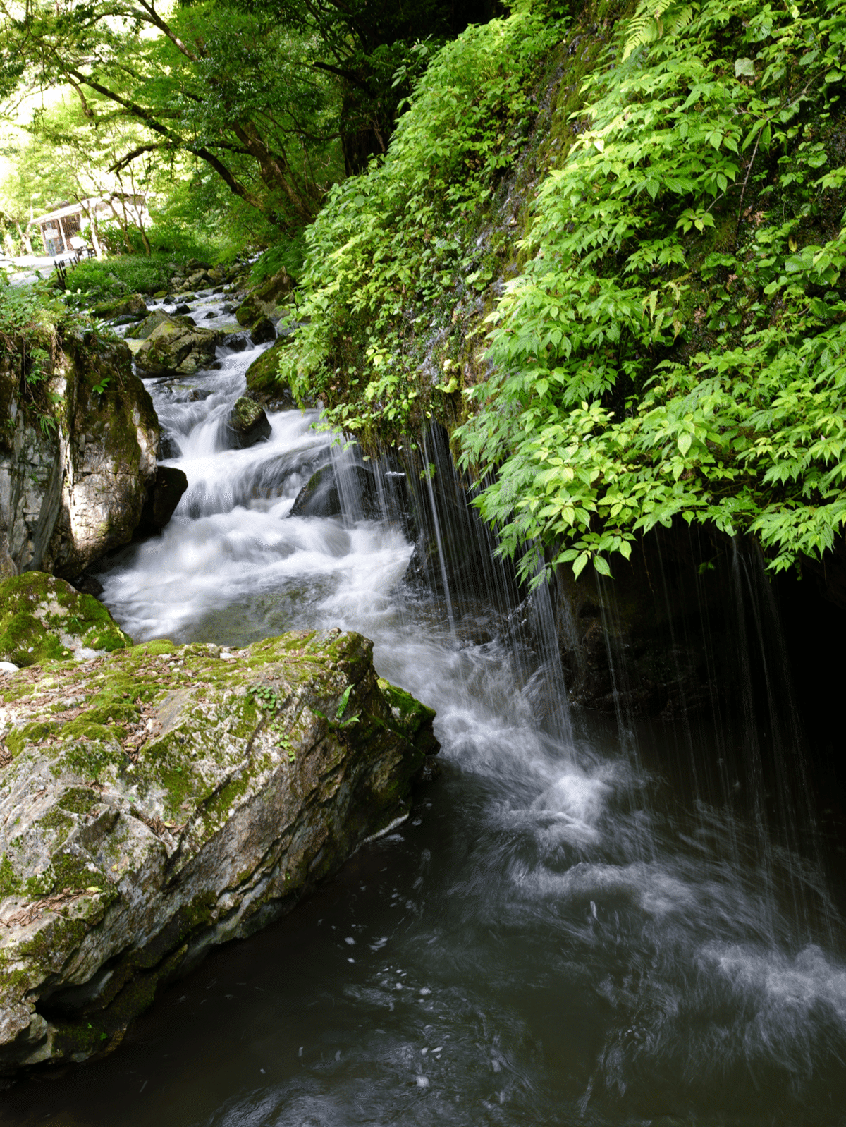 【真作】掛軸　滝のある山水画　静寂な自然の情景　渓流と滝　合箱入　Q193 2025年最新】Yahoo!オークション -絵画 滝(日本画)の中古品
