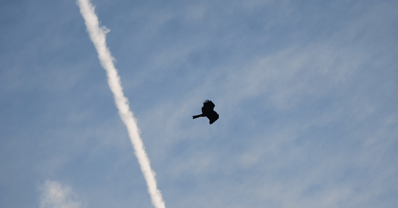 ZRはたぶん買わない｜sat