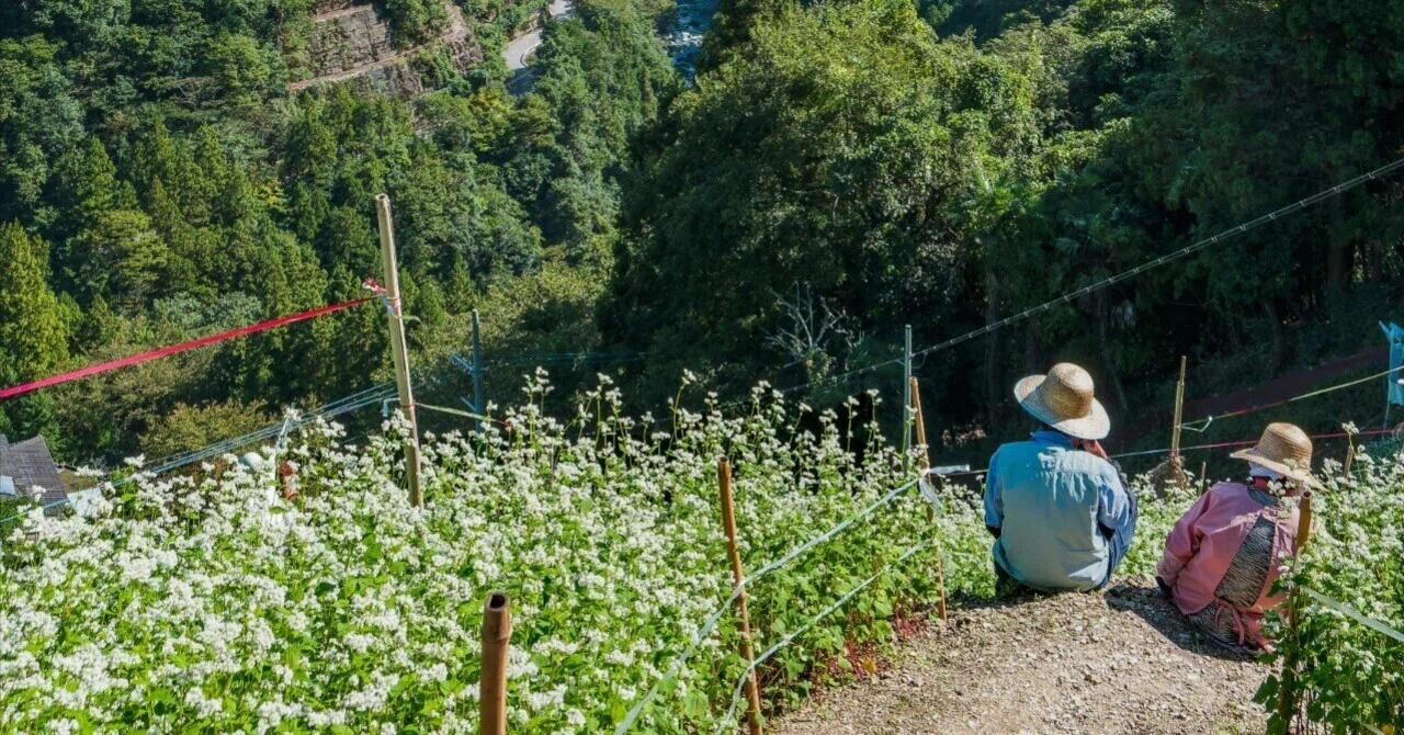The Benefits of Starting a Life with Farming in Your Second Act｜てっつー ...