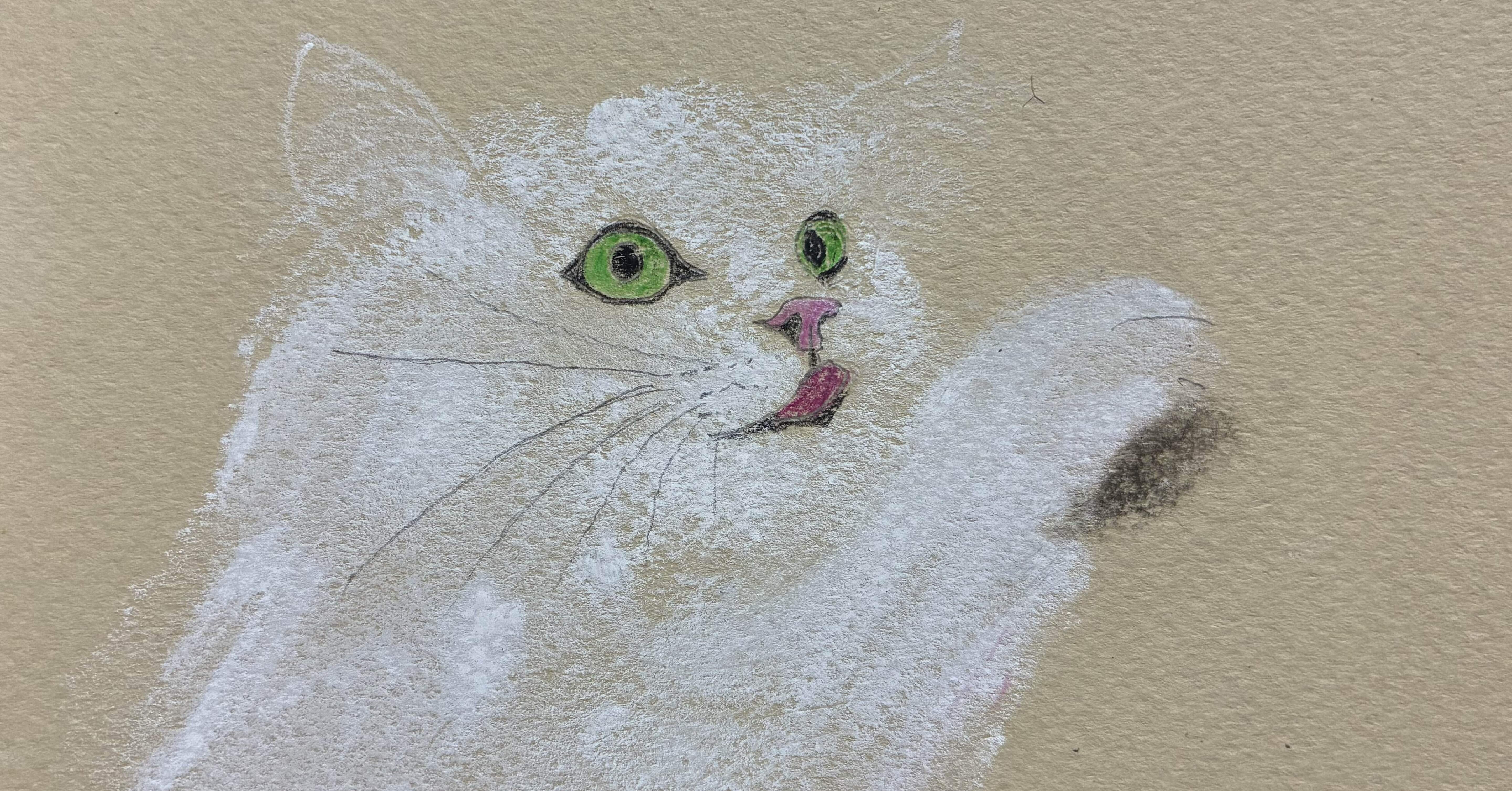 可愛い白猫のパステル画です。｜まる