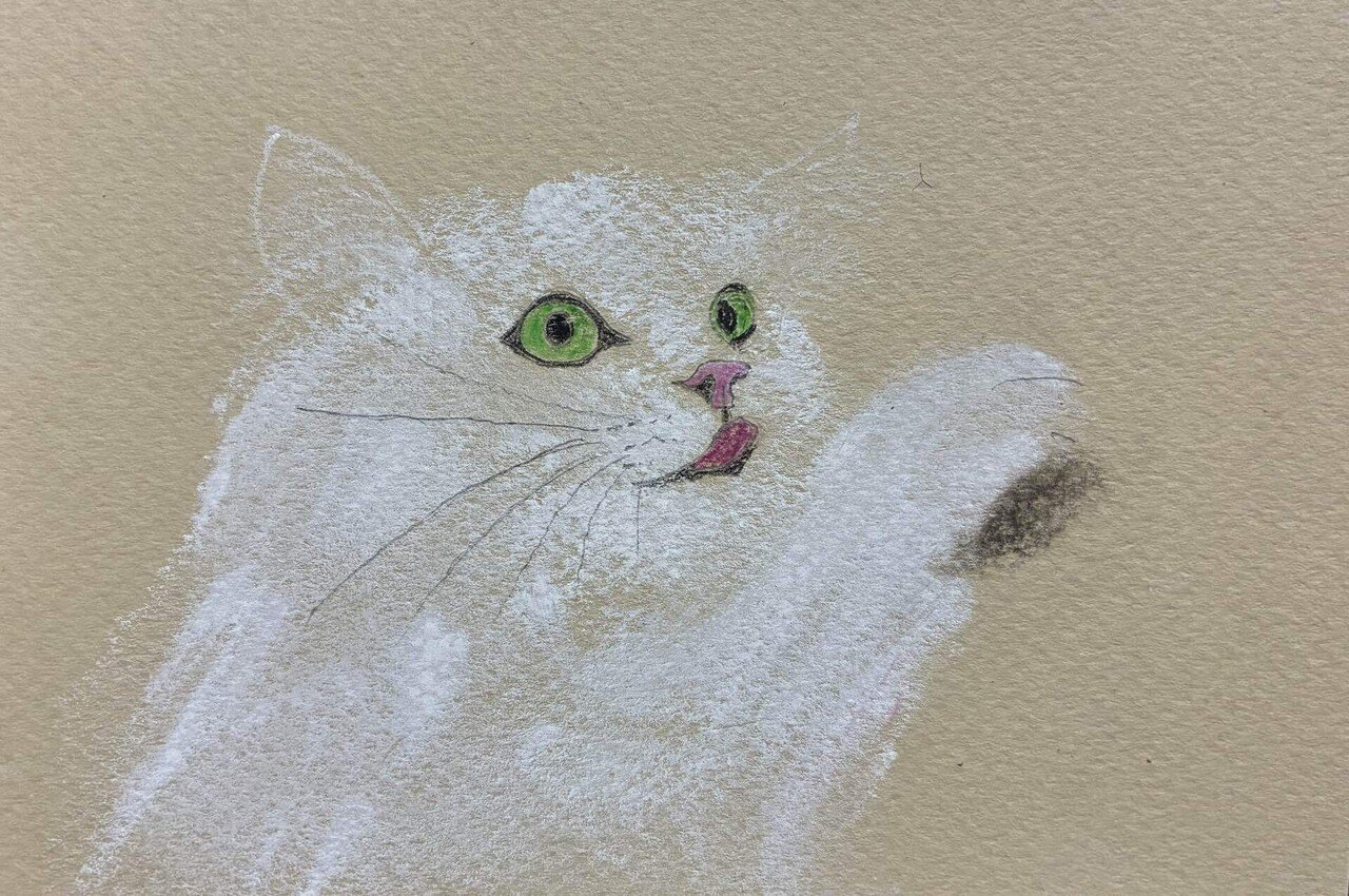 可愛い白猫のパステル画です。｜まる