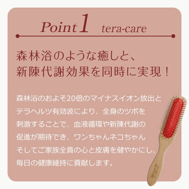 TERA BRUSH 木製ヘアブラシ トリートメント効果 Tera Brush Paradox