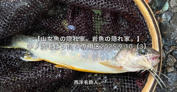 道具のこと：ロデオクラフト 999.9 meister ホワイトウルフ62UL