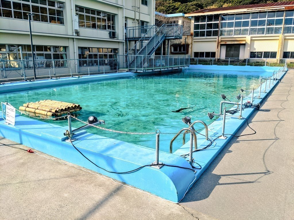 ちょっとどこかへフラッと遊びに 第1回「むろと廃校水族館」（ビロくん