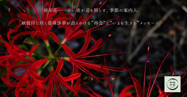 s*5様 虎 残響 赤 ヒガンバナ #172 角田憲一 on X: 