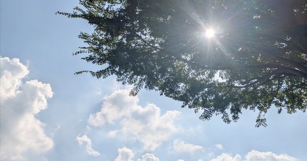 津留晃一 Essence Note 津留晃一 Essence Note