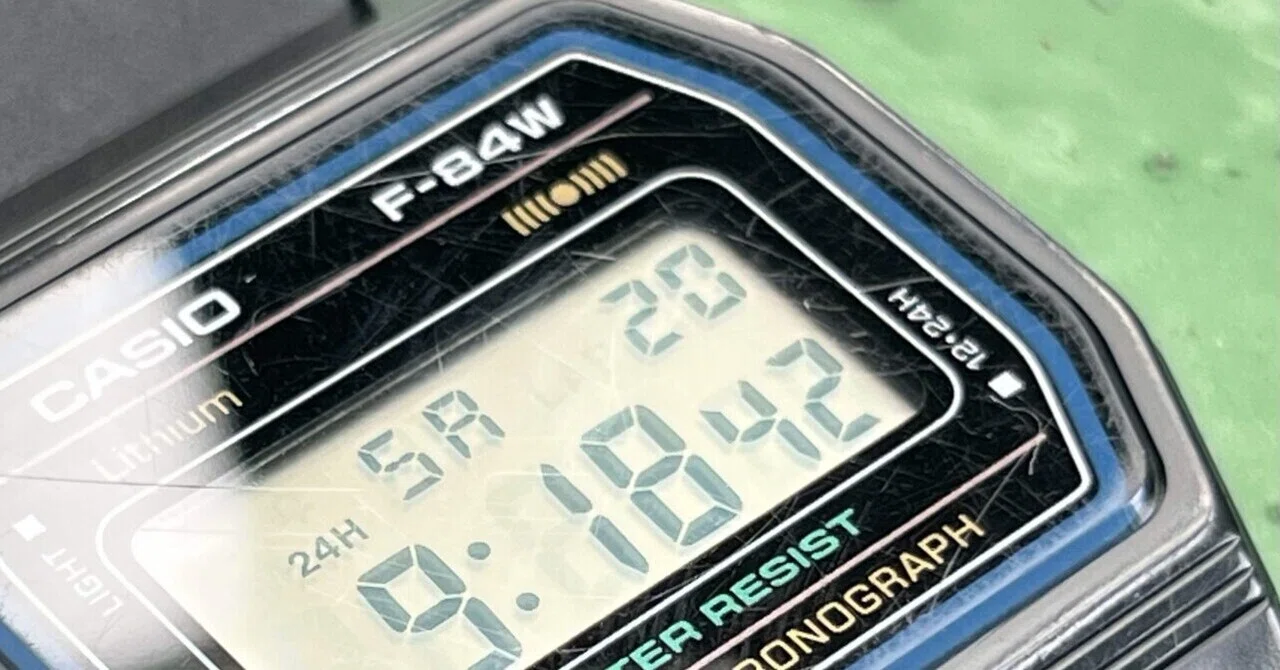 小傷だらけで良い顔になってきたチプカシ F84W｜J