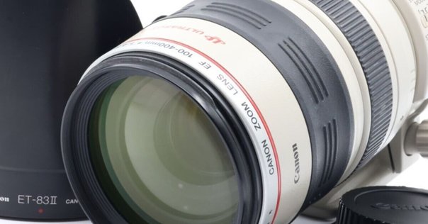 EF100-400mm F4.5-5.6L IS II USMとEOS R6MarkⅡ｜fun_photo