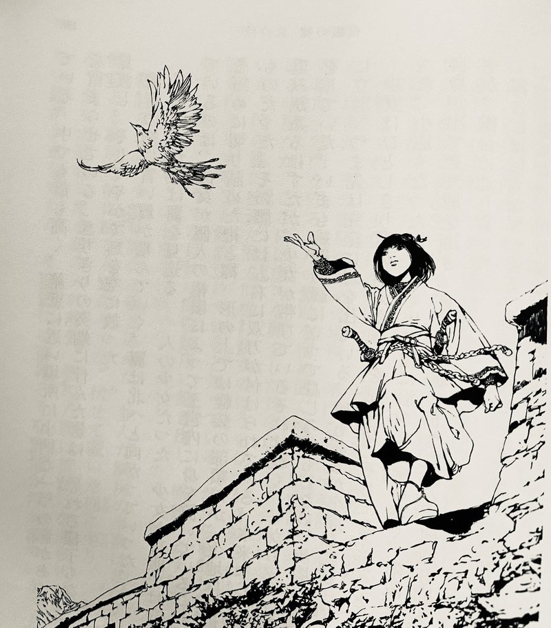 十二国記 感想 白銀の壚 玄の月 に描かれたもの 読む猫 Note