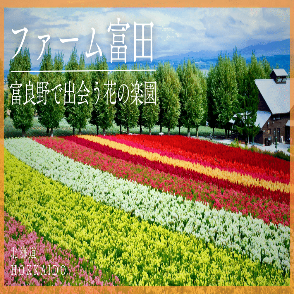 富良野で出会う花の楽園｜【ファーム冨田】｜Tomo＠旅と美食の探求Life