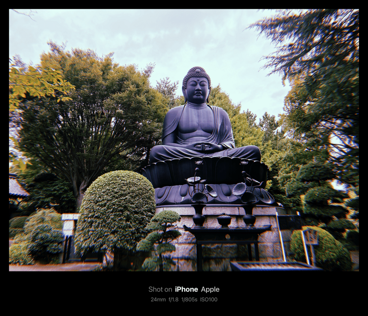 大乗仏典　日蓮 現代語訳大乗仏典 全7冊揃 中村元 - 古本買取・専門書買取の