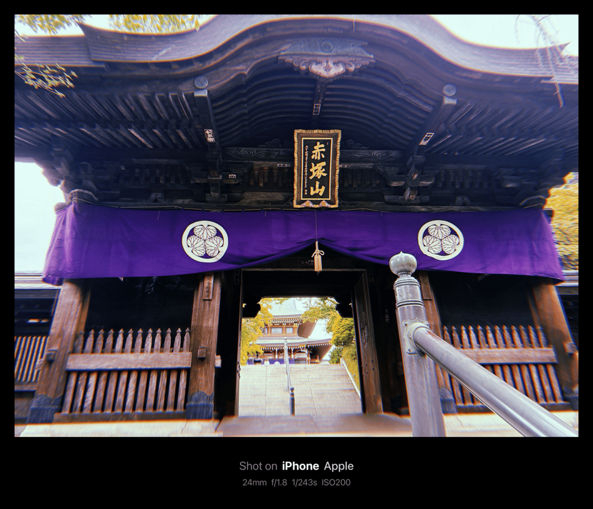 大乗仏典　日蓮 華厳経』『楞伽経』 (現代語訳大乗仏典) | 中村 元 |本 | 通販