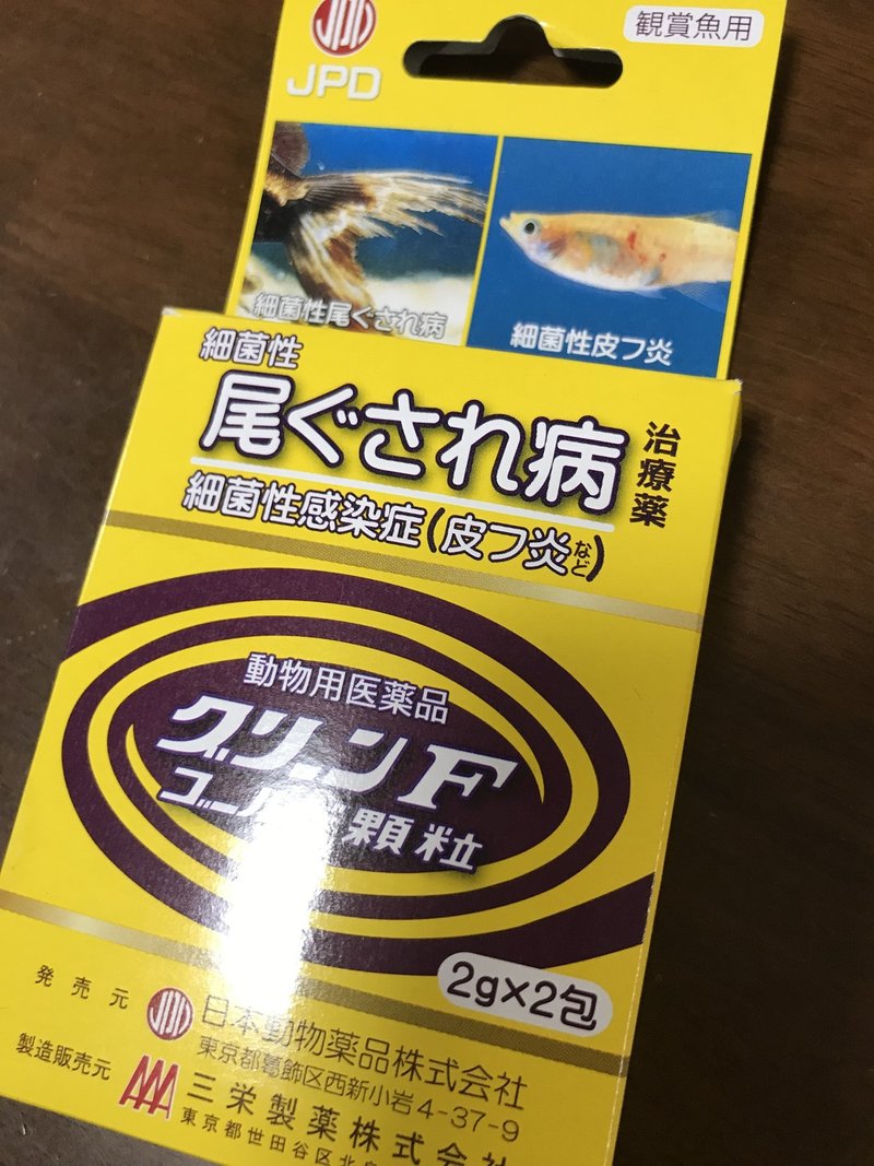 金魚治療 尾ぐされ病 松かさ病 について 小町 Note