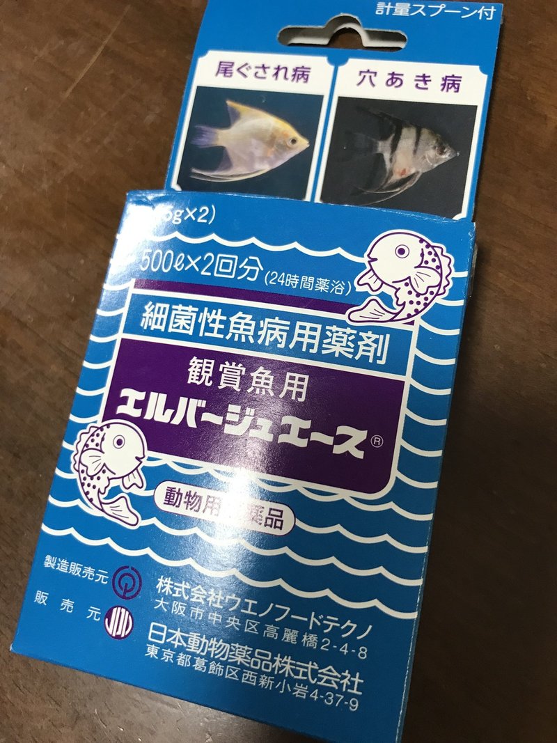 金魚治療 尾ぐされ病 松かさ病 について 小町 Note