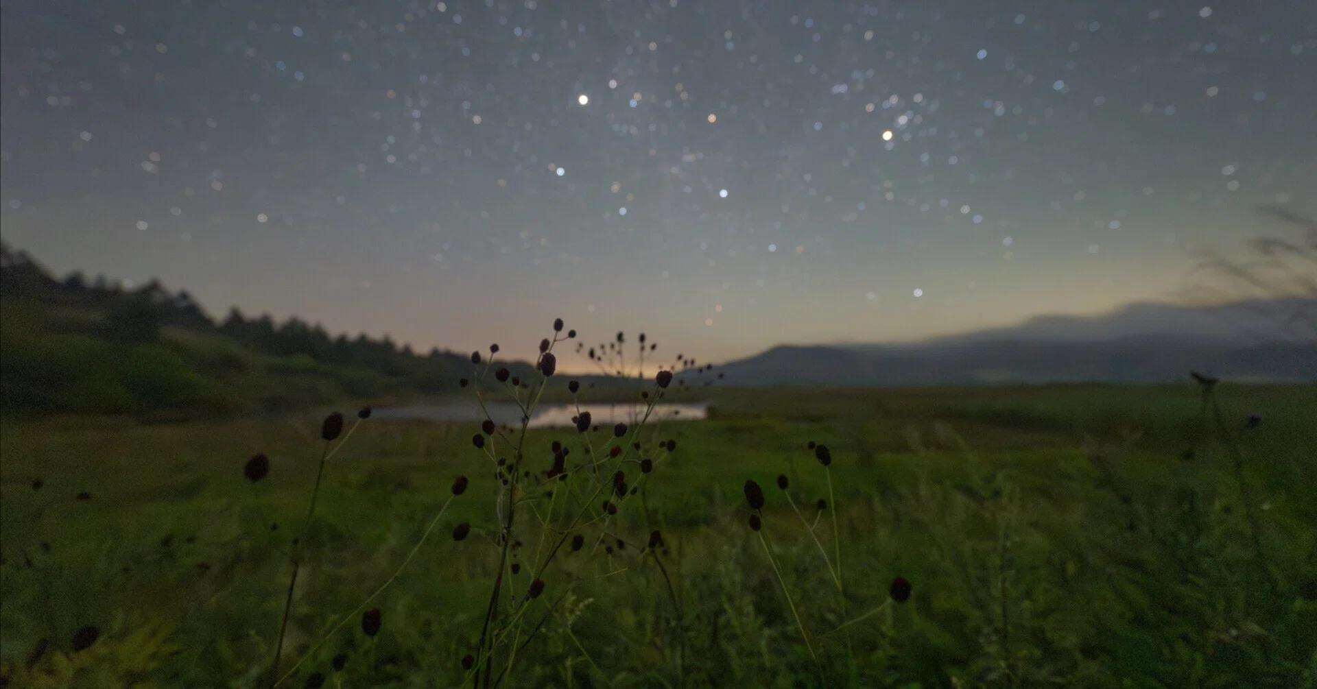 八島ヶ原湿原に咲く秋の草花と星空｜星空写真家 × 会社役員 | 「好き