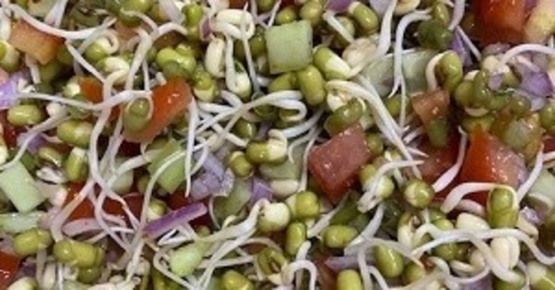 インド軟禁グルメ ２ ムーング ダール 緑豆 でモヤシ作り neelkamal note