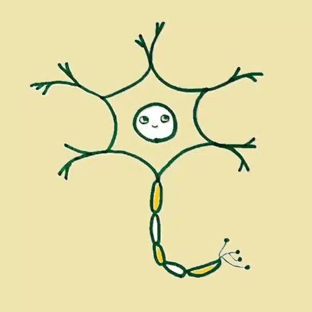 Neurons Shouldn't Go to Waste｜iron（nori reversed）