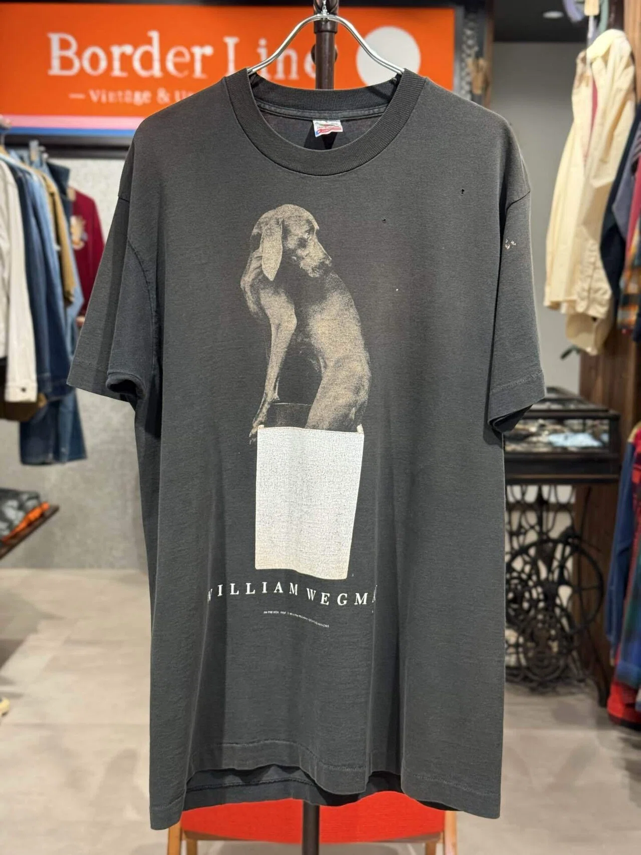 William Wegman art dog ヴィンテージ Tシャツ 犬 古着