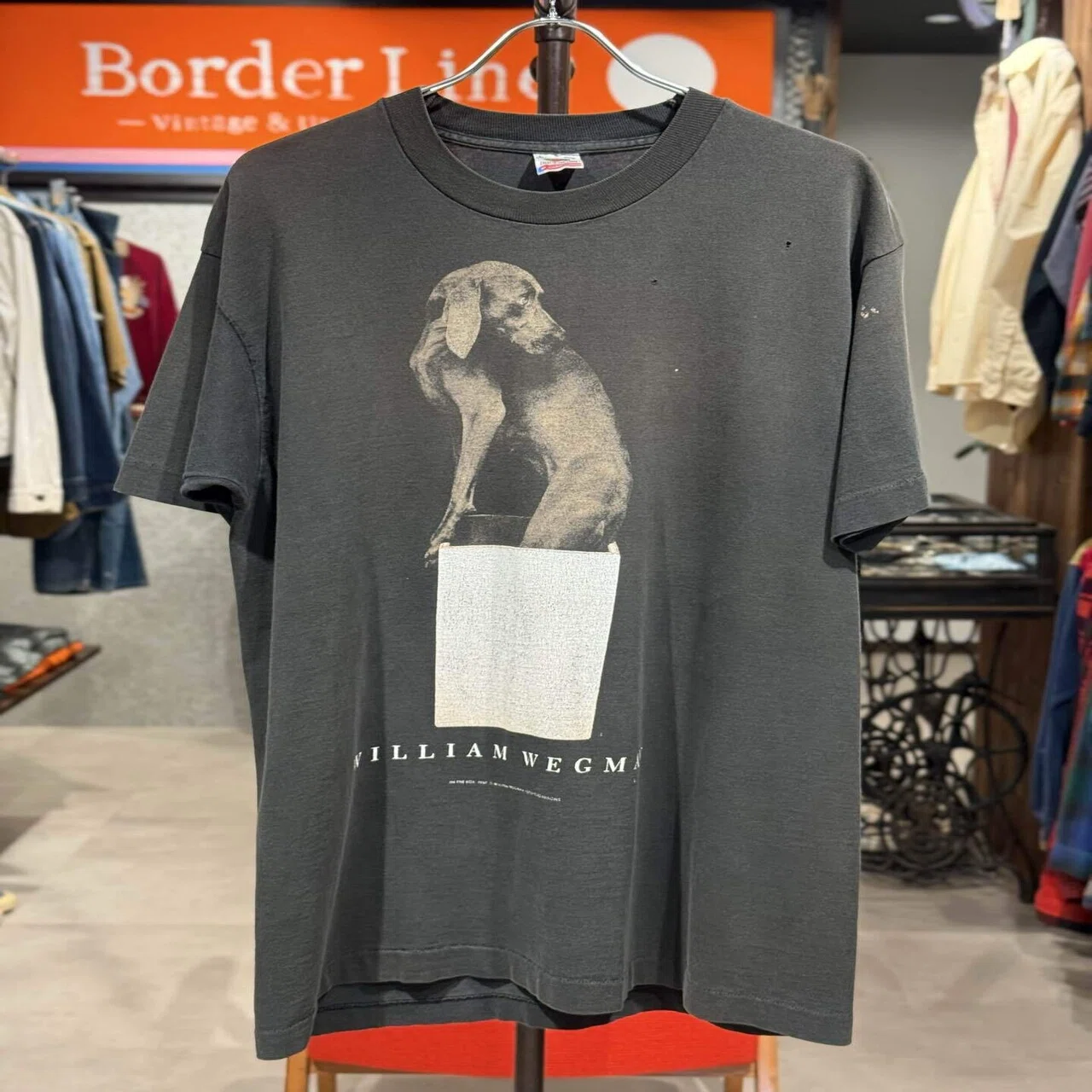 XZ613 90s Tシャツ ビンテージ ウィリアム ウェグマン 犬 アートT