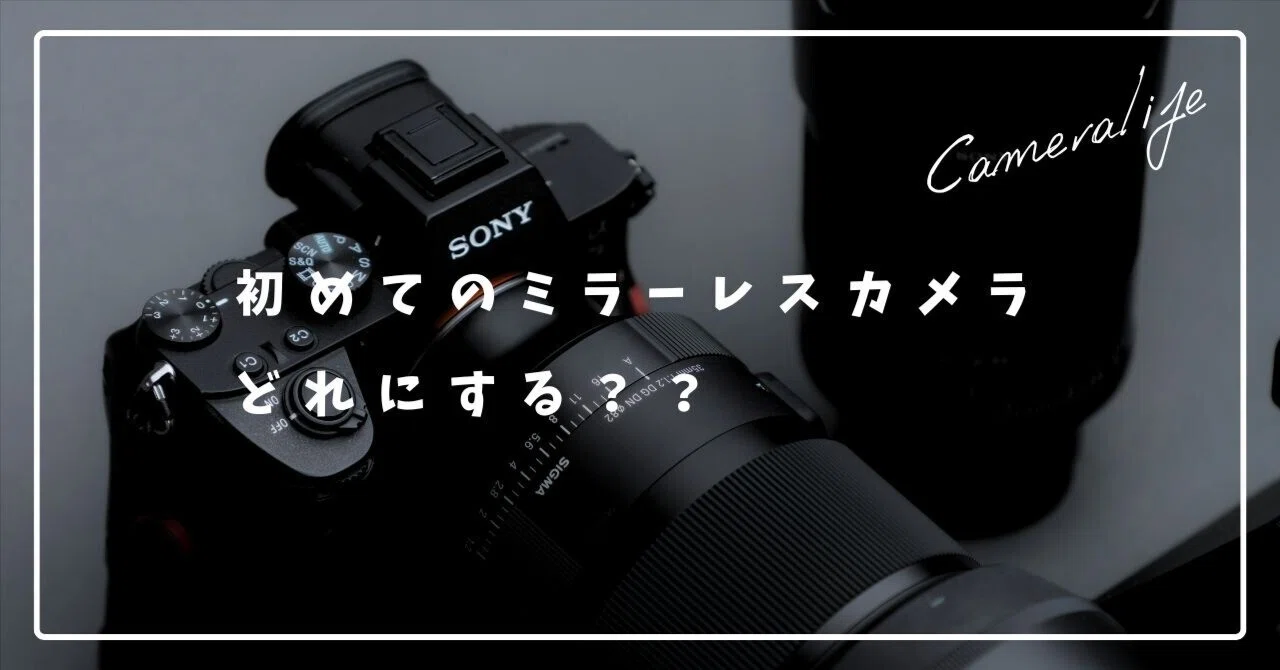 初めてのミラーレスカメラ、どれにする？？｜地方の鷹 / chihonotaka