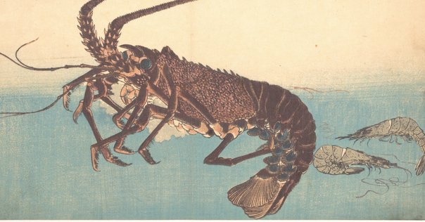 斉藤斎藤も好きなのだがこの本には好きな歌がなかった。｜やどかり