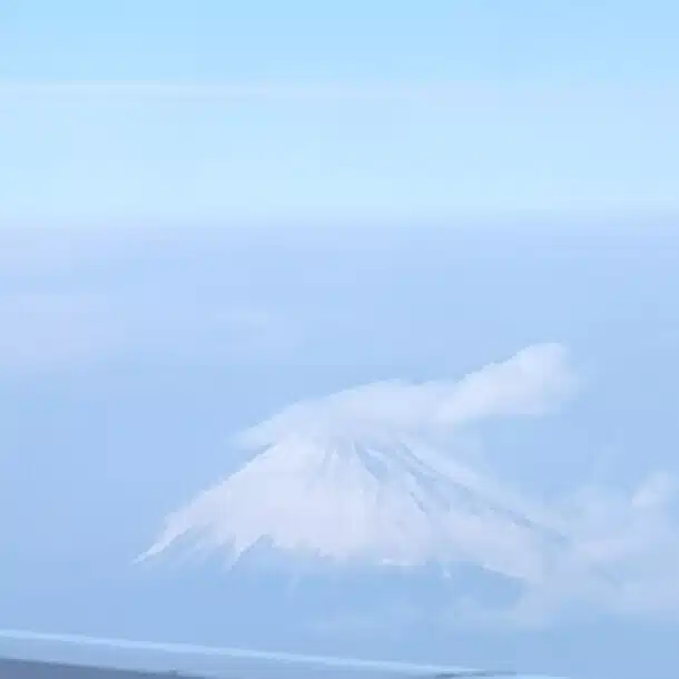 ひぐちりさ