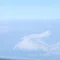 ひぐちりさ