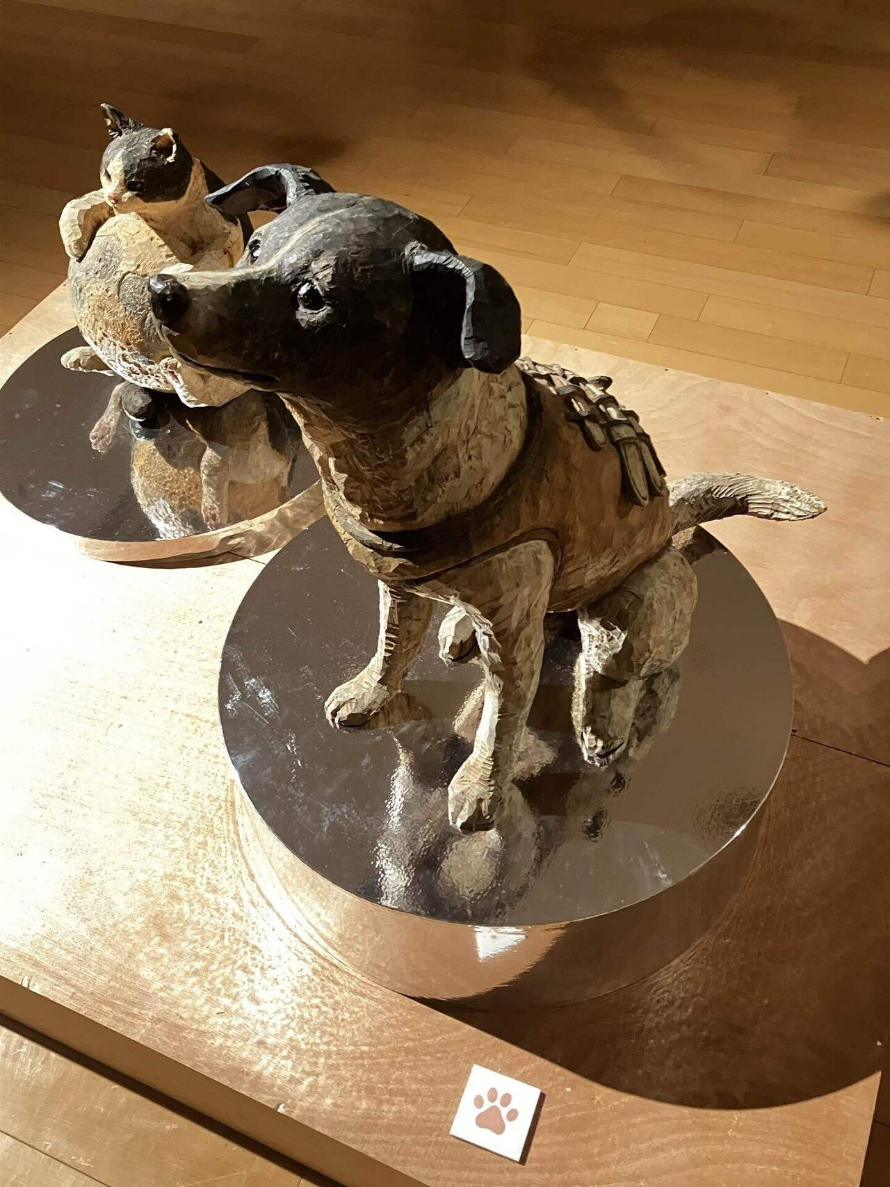 無料】科学の夢と犠牲を刻む木──はしもとみおが彫るクドリャフカの瞳