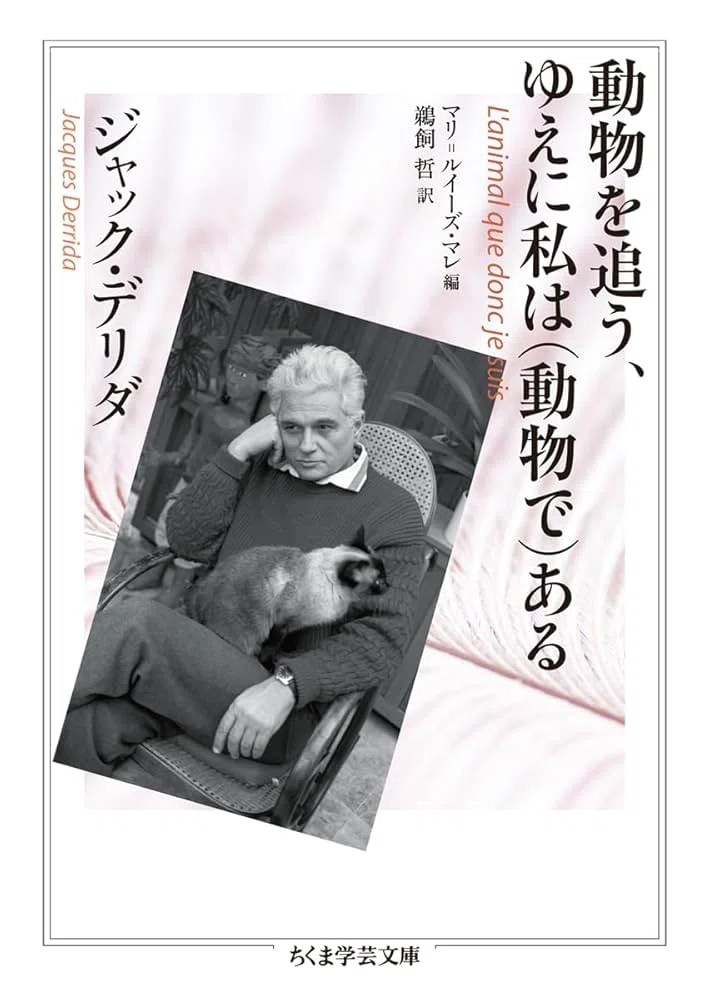 絵葉書 デリダ ⁄ 絵葉書の通販 : I | LA CARTE POSTALE - 1⁄ジャック