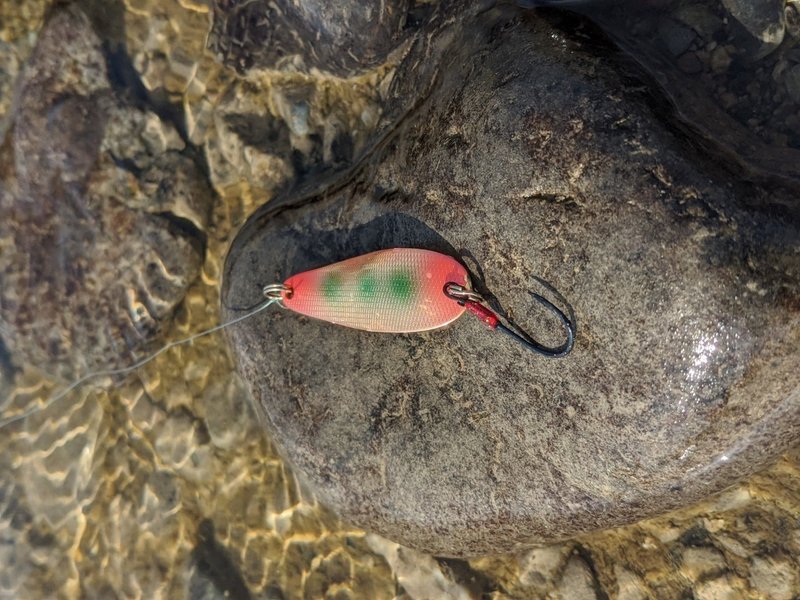 サツキマスを釣ることは ６ Tenshinhan Note