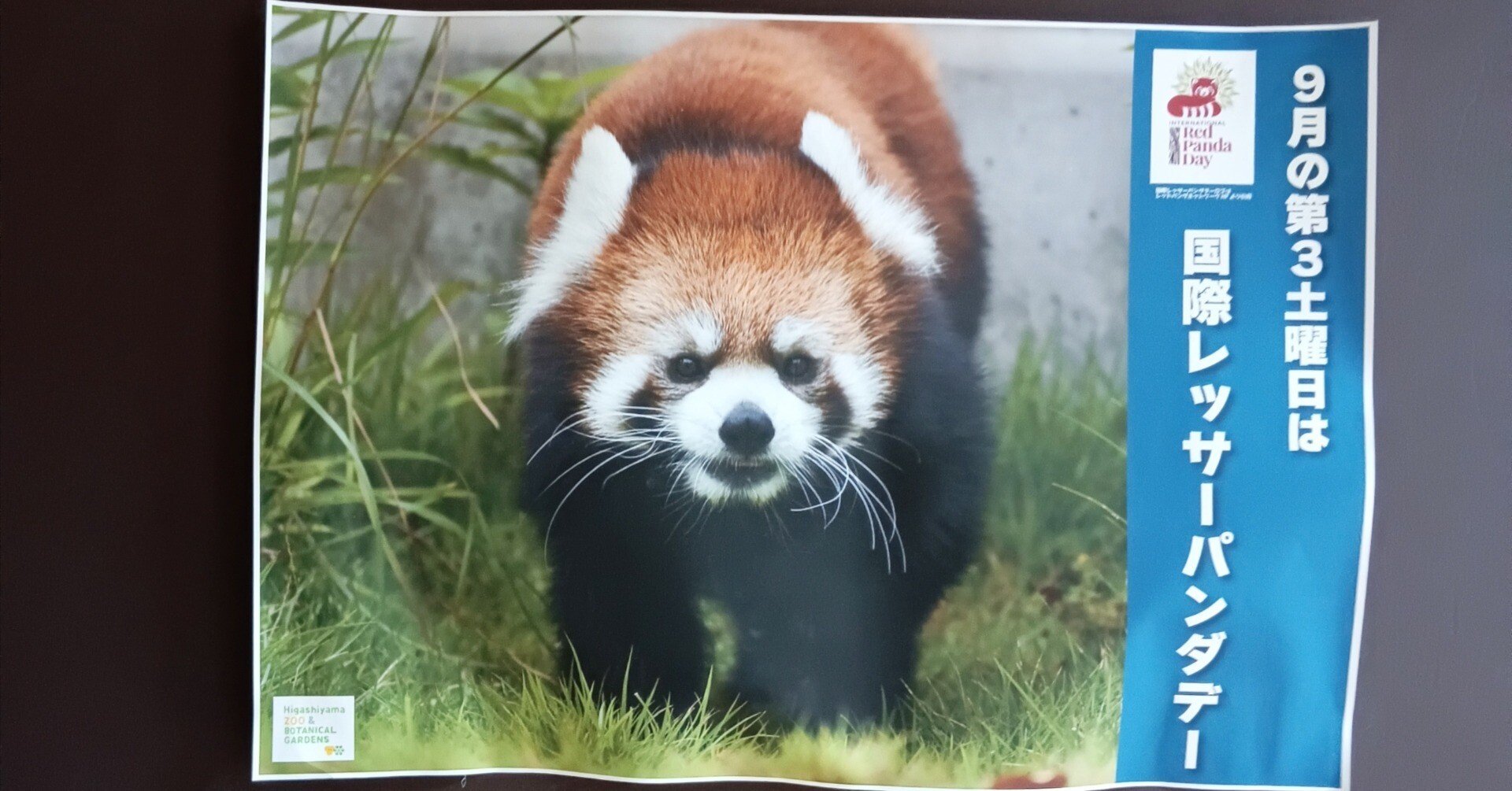 04206a090c9c5ee06e14a33131f5e8