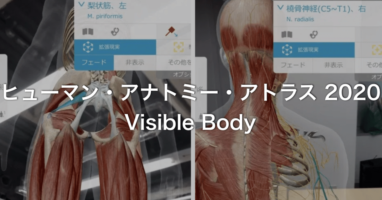 解剖学のオススメno 1アプリ ヒューマン アナトミー アトラス Visible Body N 訪看事業所の所長 二子玉川 Note