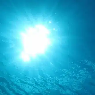 心は海を渡る