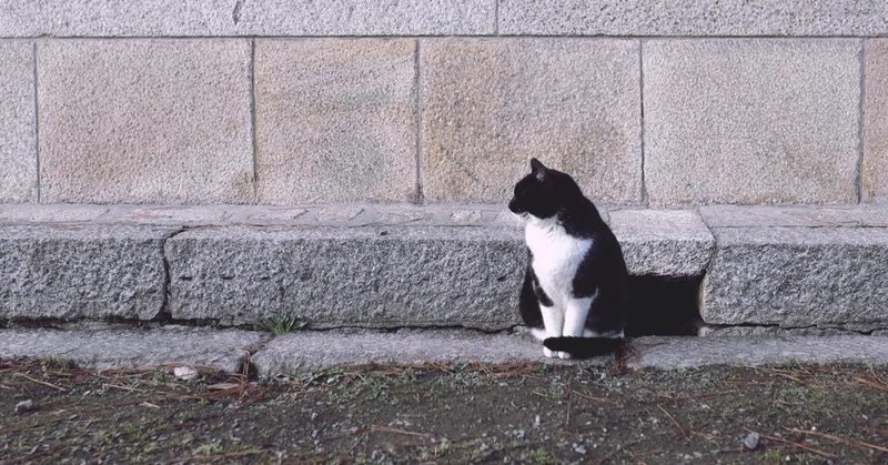 ネコは外飼い 室内飼い ぶつぶつ Note