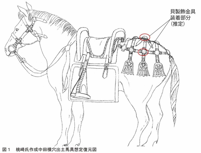 第706回 貝を使った装飾品で馬を飾る 綱渡鳥 目指せ学芸員2 0 Note