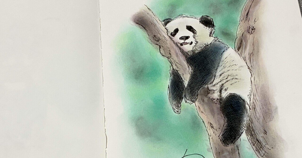 崩壊してるパンダスケッチ｜智美さんの美術室